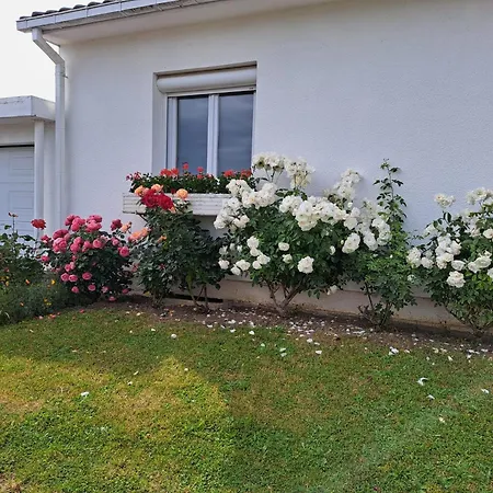 Charmante Maison Au Calme * رانس
