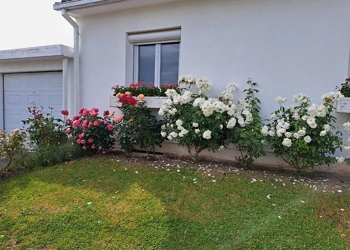 Charmante Maison Au Calme * Reims
